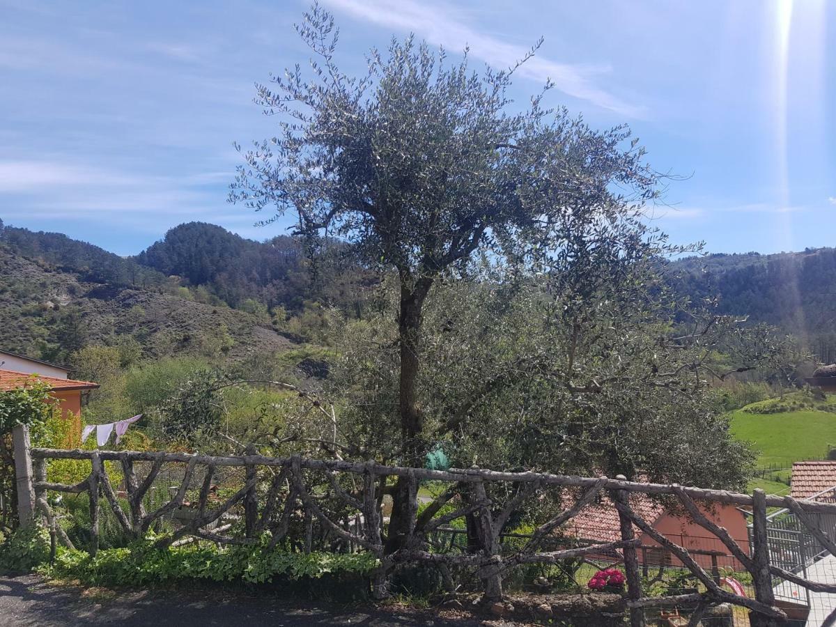 Casa Luigina Villa Vezzola Eksteriør bilde